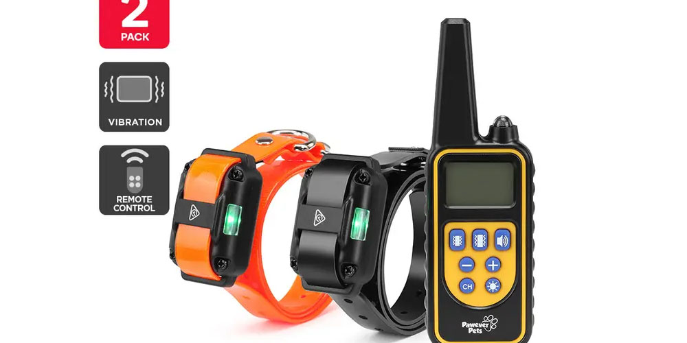 Why Would a Pet Owner Give Up Their Pet's Ownership?